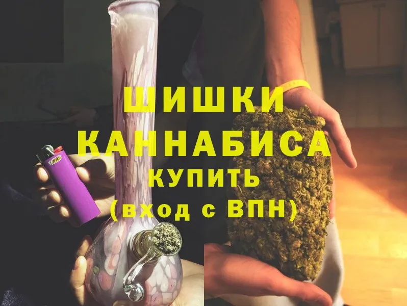 Бошки марихуана THC 21%  Заводоуковск 